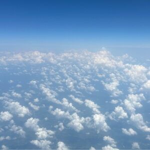 Meet your Posher, Joy